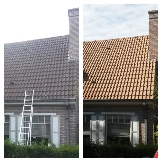reiniging dak - voor en na